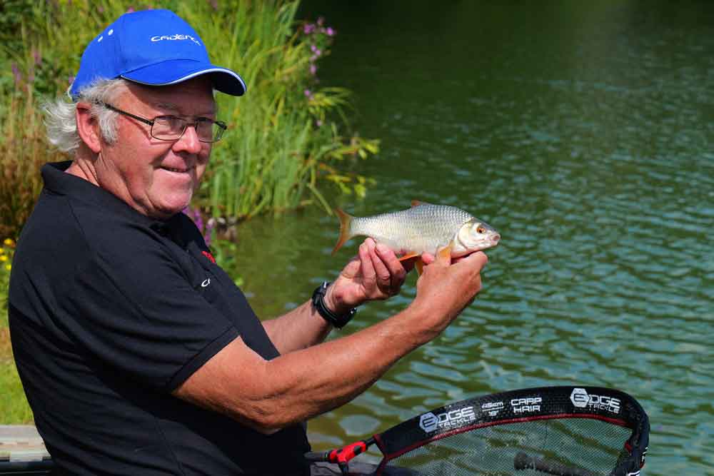 Premium Photo  Caught crucians and pikes on green grass Successful fishing  A lot of crucian carps and pikes